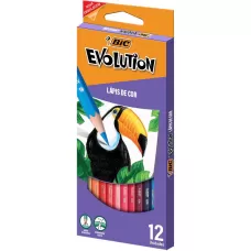 Lápis de Cor Sextavado BIC Evolution 12 Cores