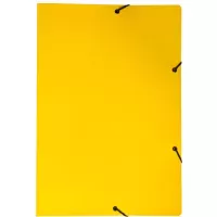 ORGANIZAÇÃO